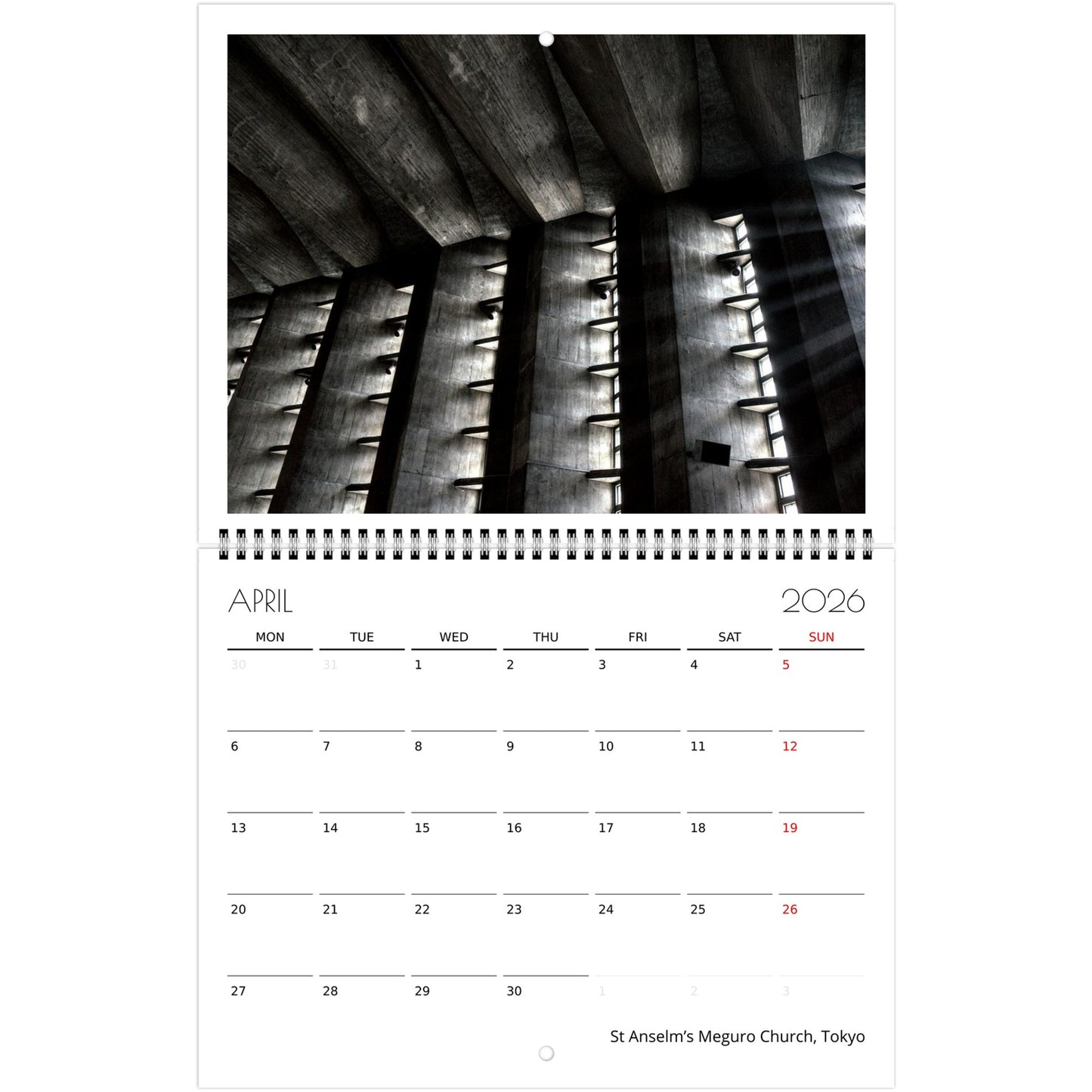 51e8391f-c16e-46df-a119-f1543b2ace19